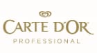 CARTE D'OR CARTE D'OR