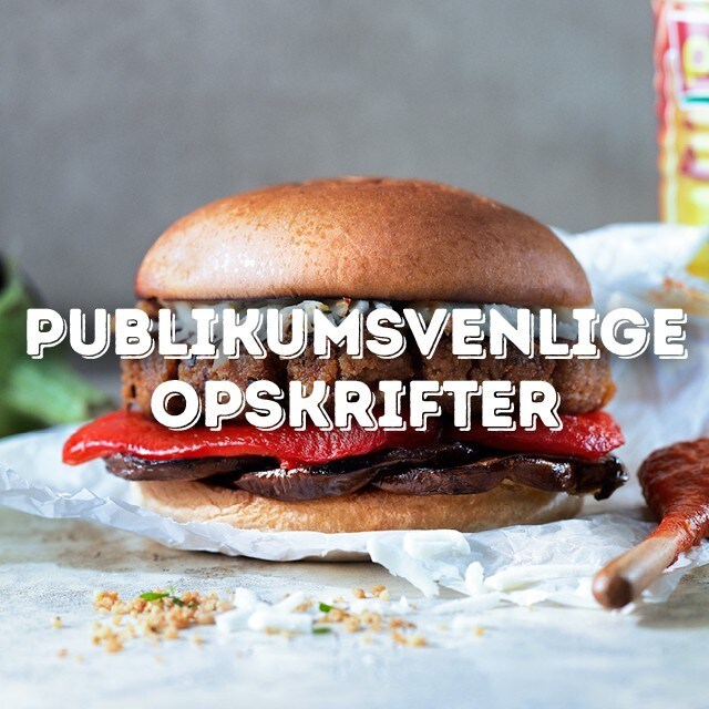 Publikumsvenlige opskrifter