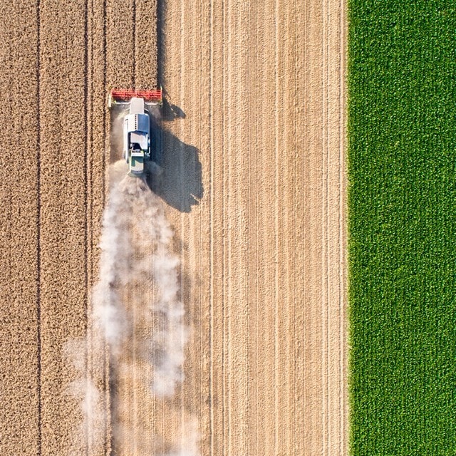 Sådan påvirker valget af ingredienser vores planet