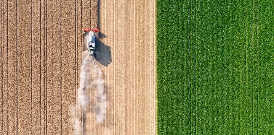 Sådan påvirker valget af ingredienser vores planet