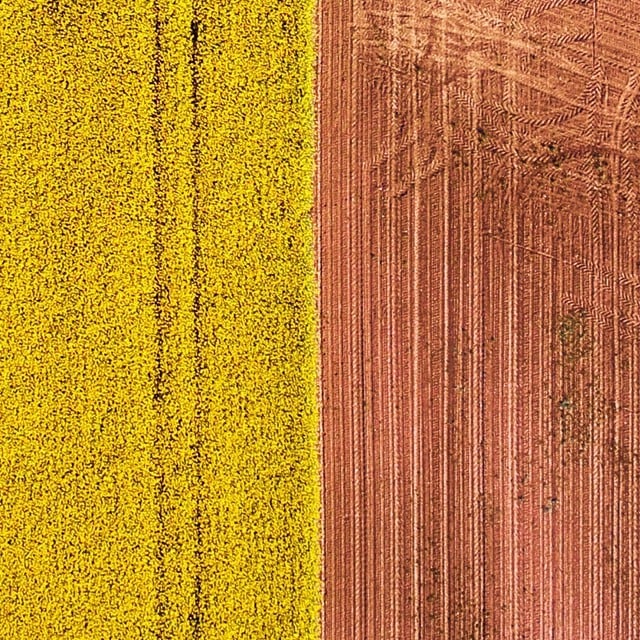 Hurra for biodiversitet!