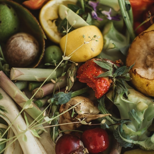 Med Future Foods vil UFS reducere fødevarekædens miljøpåvirkning