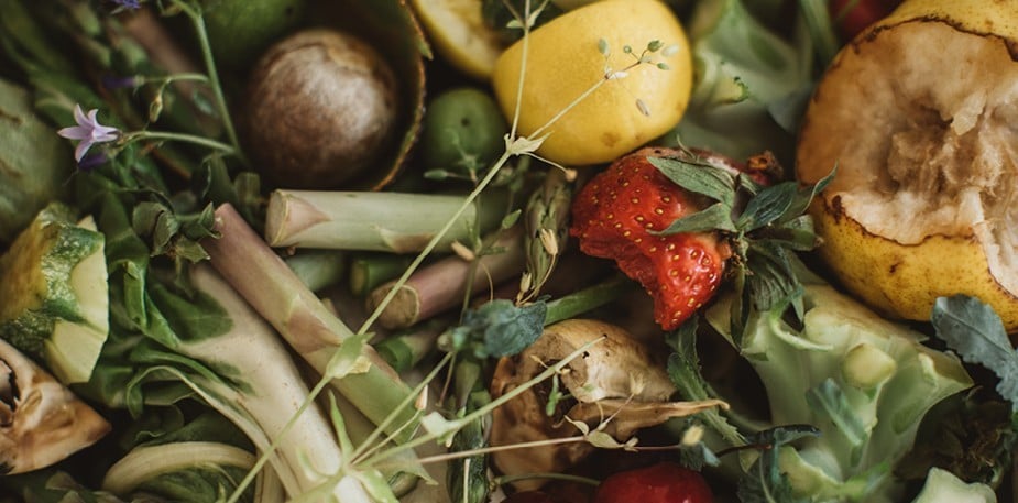 Med Future Foods vil UFS reducere fødevarekædens miljøpåvirkning