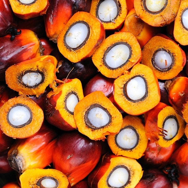 En unik, men omstridt råvare