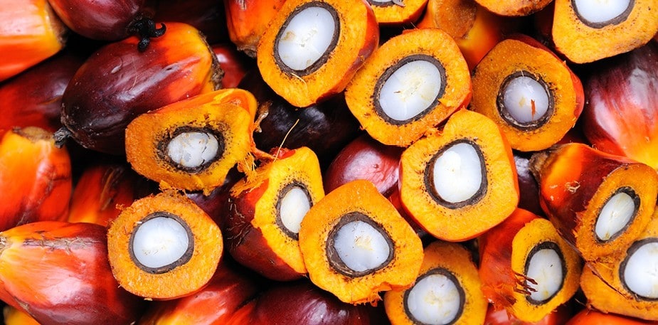 En unik, men omstridt råvare