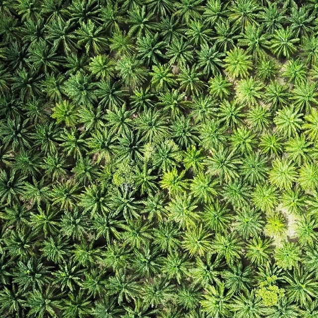 Vi driver udviklingen