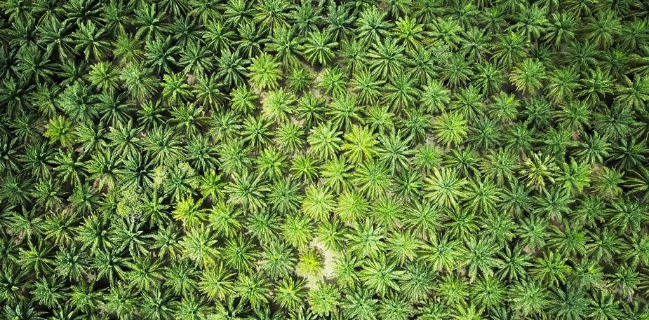 Vi driver udviklingen