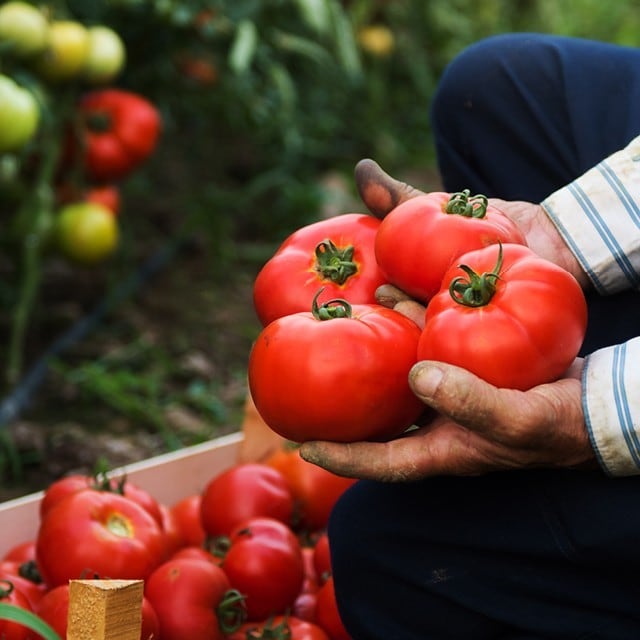 Vores mål og ambitioner