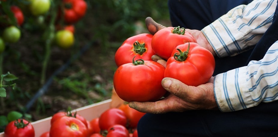Vores mål og ambitioner