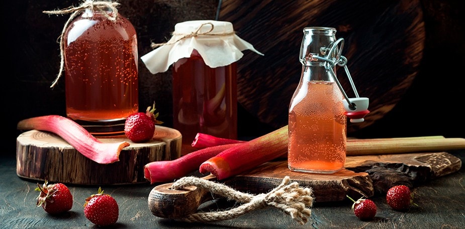 Kombucha for begyndere