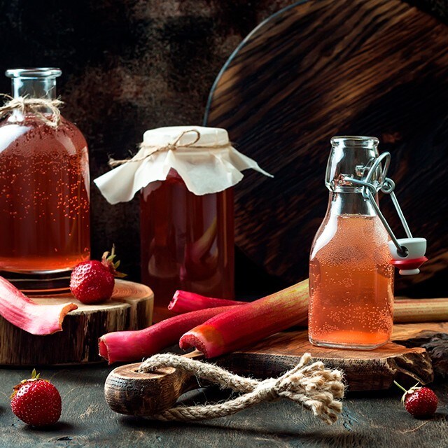 Kombucha for begyndere