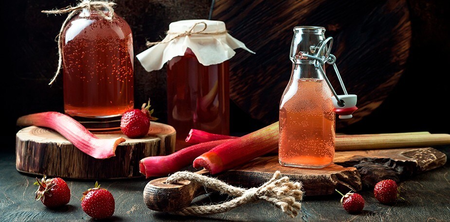 Kombucha for begyndere