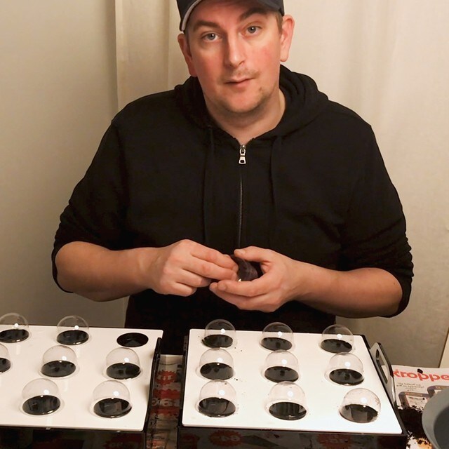 Dyrkningsduellen er i gang! 