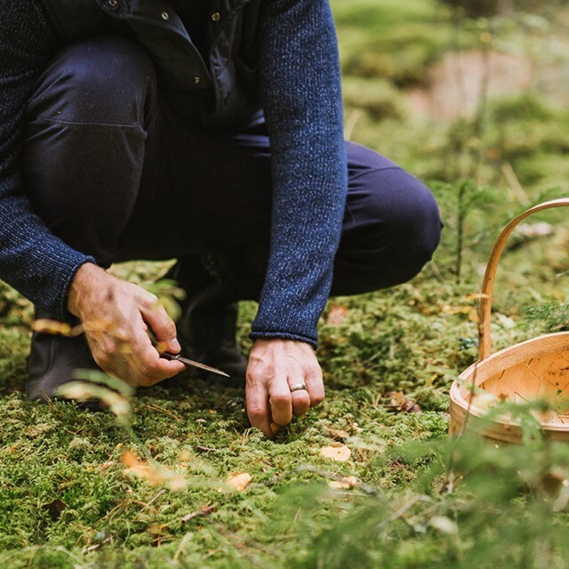 Pluk vilde ting – kom ned i gear!