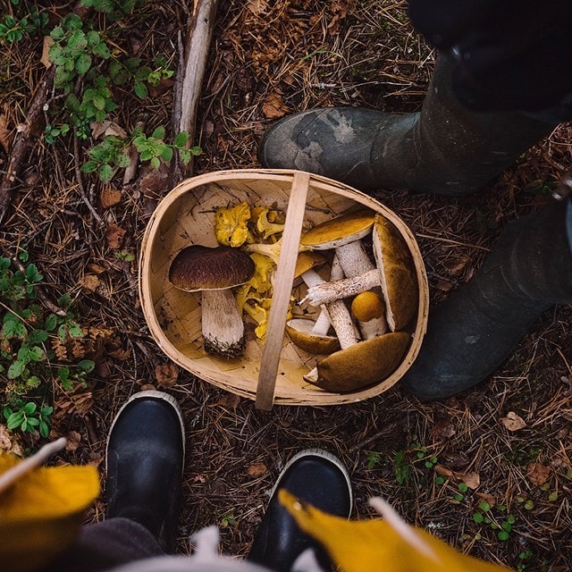 Skatkammeret er åbent!