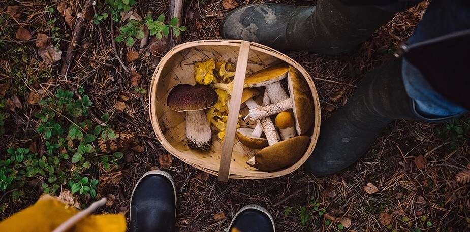 Skatkammeret er åbent!