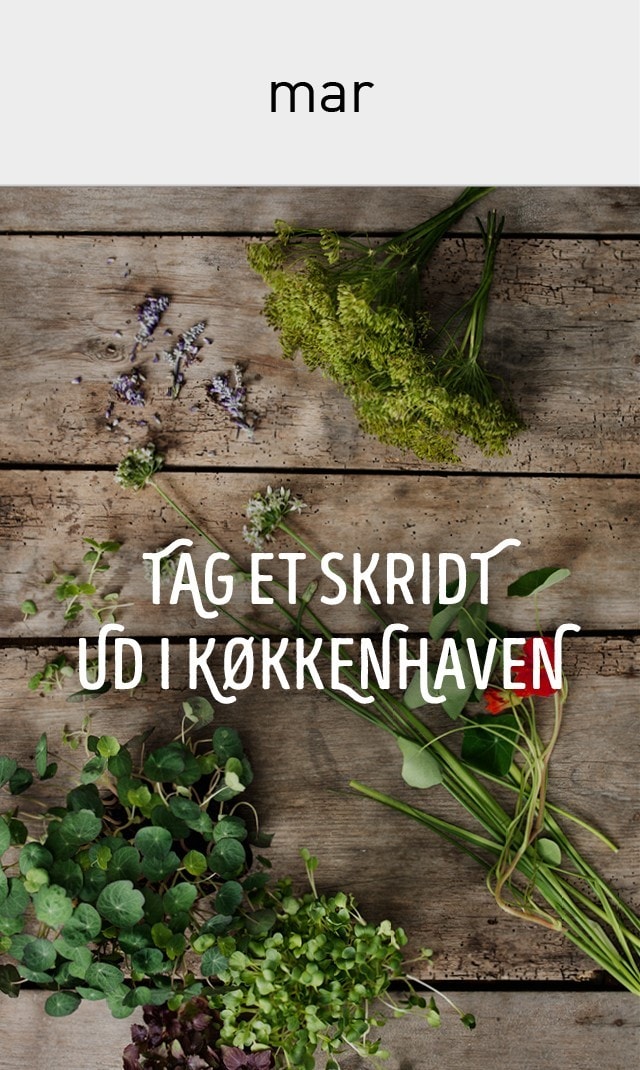 Alt Image Text