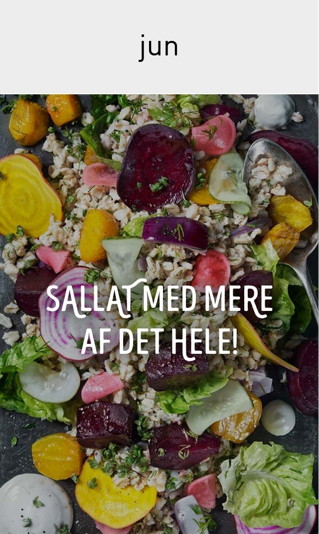 Alt Image Text