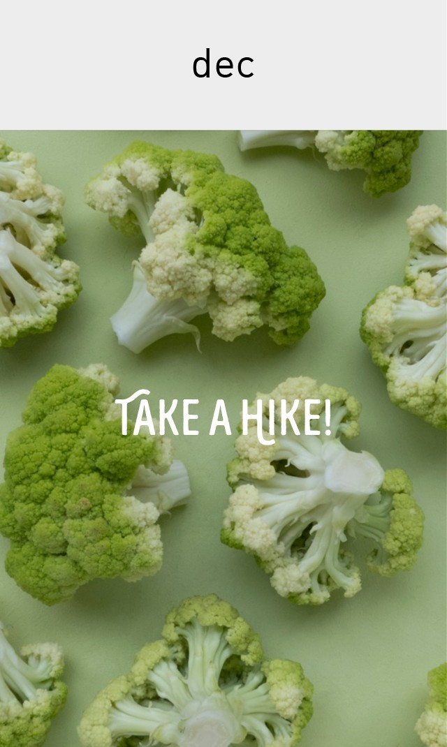 Alt Image Text