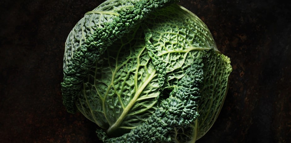 Nu taler vi om kål!