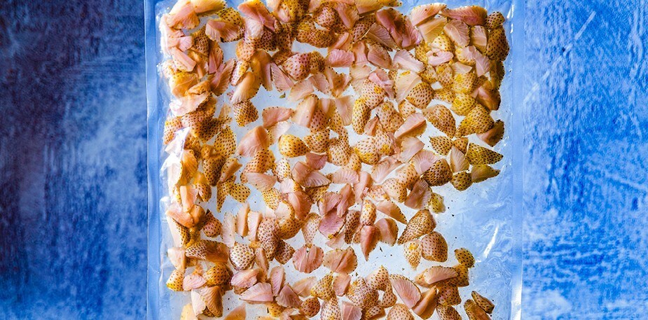 Gør maden holdbar, maksimer smagen