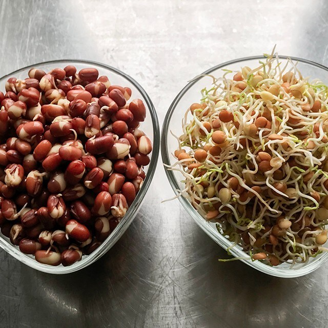 Kast dig ud i spiring med Martina!