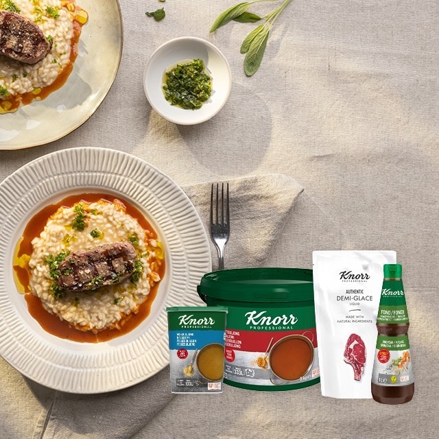 Knorr Professional