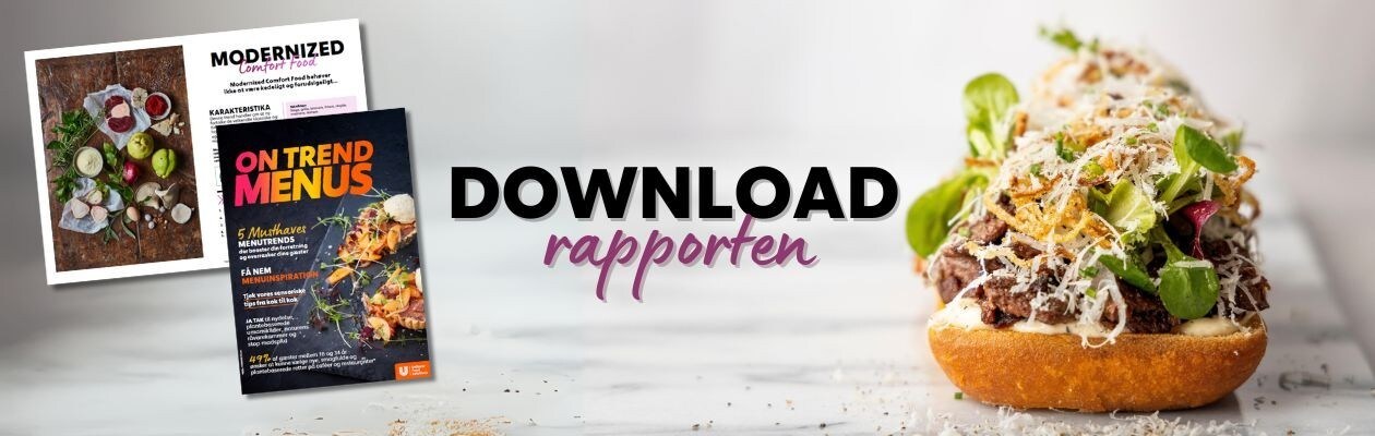 Download rapportten