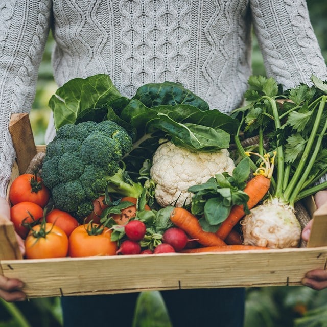 5 nyttige tips til en bæredygtig virksomhed! 5 nyttige tips til en bæredygtig virksomhed!