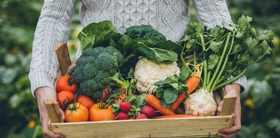 5 nyttige tips til en bæredygtig virksomhed!